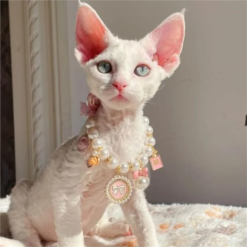 Ribbon Bow Pearl Pet Necklace,Multi Decor Charms Adjustable Collar Kittens