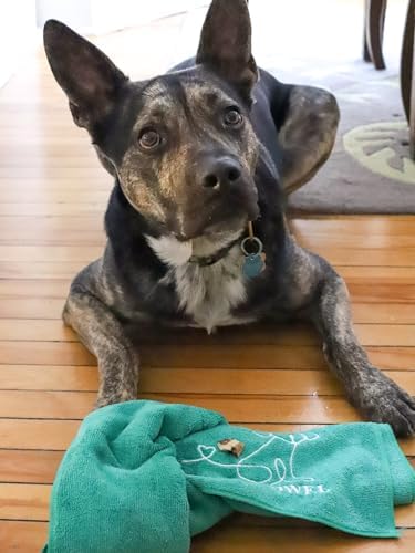 Treat Towel for Dogs – Snuffle Towel for Mental Stimulation & Enrichment, Interactive Lick Mat Alternative, Washable Microfiber, Boredom Buster Nose Work Toy for All Breeds – Green