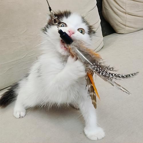 miwoowim 7PCS Cat Wand Refills, 6 Natural Feathers & Replacement String