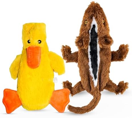 FGA MARKETPLACE Duck-Squirrel Flat NO Stuffing NO Squeak Plush Dog Toy, Funny Style Will Entertain Your Pet for Hours, Recommended for Small and Medium Dog 21 INCH Long
