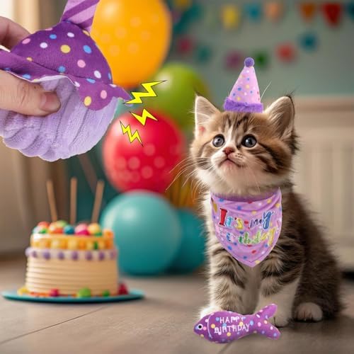 BINGPET Cat Birthday Decorations Outfit, 5 Pcs Catnip Toys for Indoor Cats