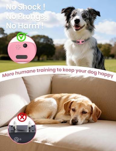 No Shock Dog Training Collar, Vibrating Dog Collar with Remote 2800Ft, Vibration Collar for Small Medium Large Dogs - No Prongs (Black)