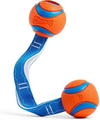 Chuckit! Ultra Duo Tug Dog Toy -Two Ultra Balls on a Durable Nylon Cord Handle-Fetch and Tug-of-War Toy for Dogs -for Breeds 20-60 lbs-2.5inch Diameter-Orange and Blue, Medium (Pack of 12)