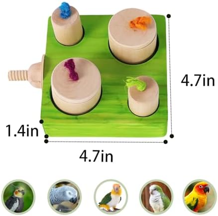 Birdie Puzzle Feeder - Interactive Foraging Toy for Parrots, Parakeets, Cockatiels, Conures | Mental Enrichment & Stimulation Game to Prevent Boredom (Green)