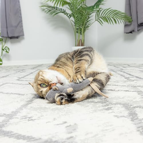 SPOT Flat Mouse Frankie with Catnip - Cat Toy, Fuzzy Mice with Catnip and Crinkle Sound, Perfect Size for Pouncing on, Chasing, Hunting - 5.5in Plush Toys, Assorted Colors