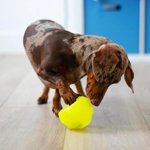 Messy Mutts Stuff n Wobble Ball, 3.9 Inch, Treat Toy, Green