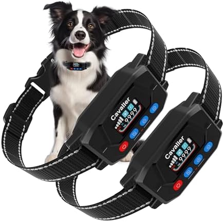 PATPET GPS Wireless Dog Fence System- Electric Fence for Dogs with 3 Warning Modes Waterproof | Outdoor Use Only | GPS Positioning | Safe Zone Radius up to 9999 ft 2 Collars