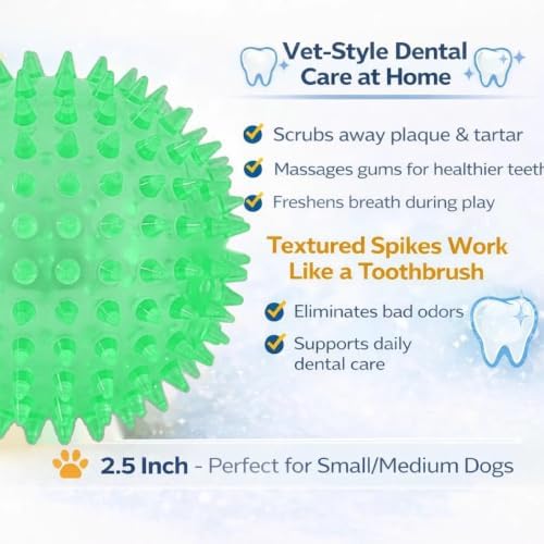 Squeaky Spiky Dog Ball for Teeth Cleaning & Gum Massage 2.5 Inch Small Medium Dogs Green | Spiny TPR Rubber Chew Toy for Fetch Play Interactive Bouncy Dental Ball Durable BPA Free Nontoxic Floats