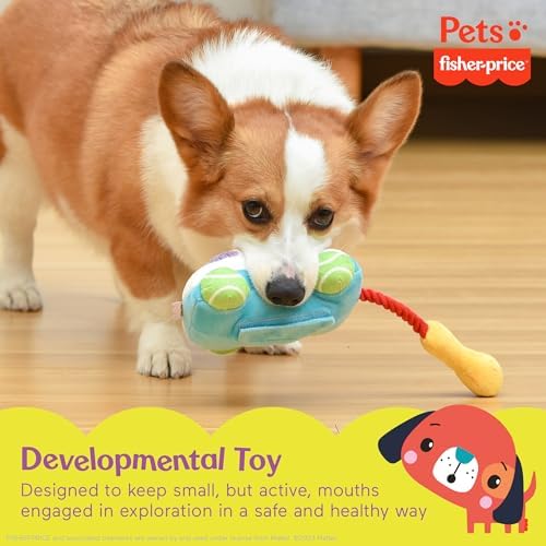 Fisher Price Sound-Bites Plush Dog Toy