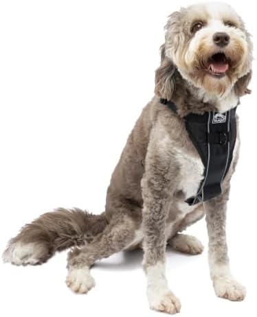Kurgo Tru-Fit Smart Harness, Black, Large
