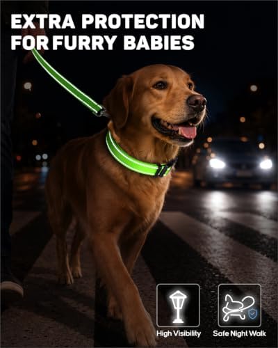 Padded Dog Collar with Waterproof Holder Compatible with Airtag
