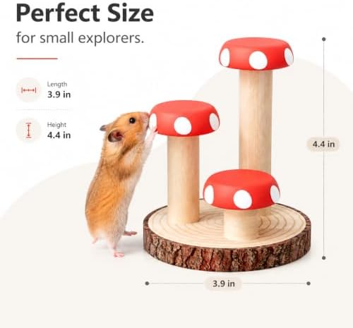 Hamster Climbing Toy Wooden for Chew, Enrichment Cage Accessory