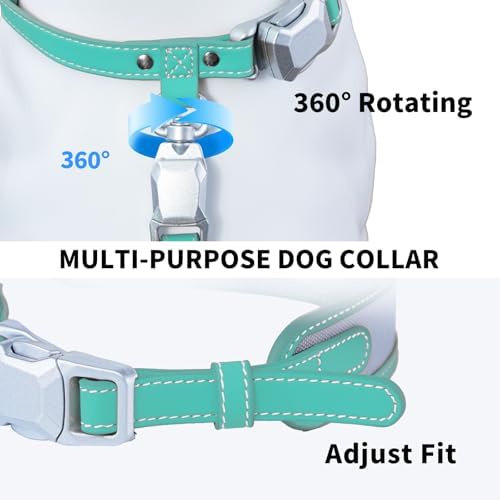 Magnetic Dog Collar and Leash Set with Quick Release Buckle, Easy On & Off Faux Leather Puppy Collar with 4FT Leash for Small, Medium Dog