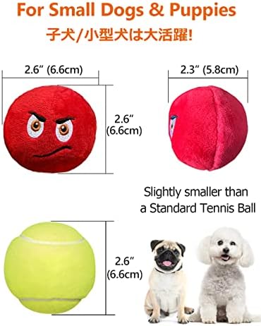 SCHITEC Squeaky Dog Toys, [6 Pack] Soft Stuffed Plush Balls with Squeakers, Interactive Fetch Play for Puppy Small Pets