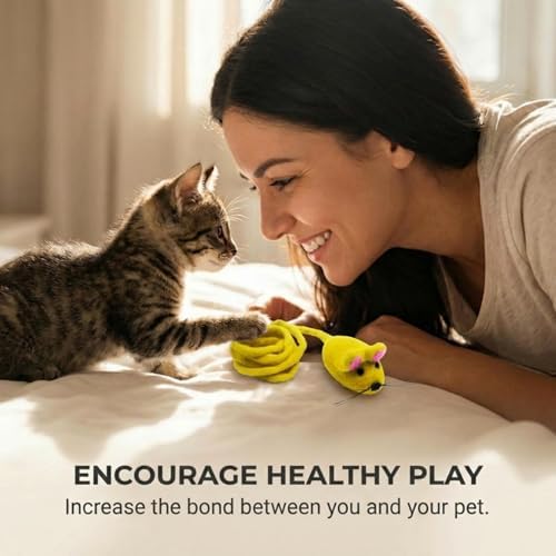 Glaciart One Felt Mouse Cat Toy – Soft Fuzzy Enrichment 100% Natural Wool - Interactive Catnip Play Cat Toy Set - Safe for Pets, Non-AZO Colored Dyes - 42” Long