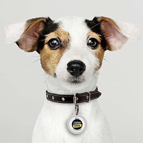 QR Code Dog Tag Personalized Pet Id Silent Cat Tags Engraved Name Plate with Online Profile («Stand with Ukraine»)