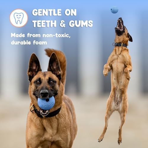 Foam Fetch Ball for Dogs – Durable EVA Foam Dog Ball, Interactive Chew Toy for Dogs, Lightweight Floating Ball for Water, Pool & Outdoor Fetch Games (Blue, Large)