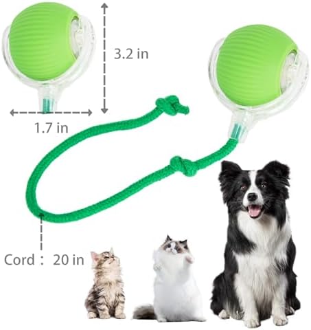 KumCinn Interactive Dog Ball for Small Medium Dogs, Automatic Self Moving Cat Toys Ball for Indoor Cats, 360° Rolling Electric Pet Ball, Fast Smart Motion Activated Toy (Green)