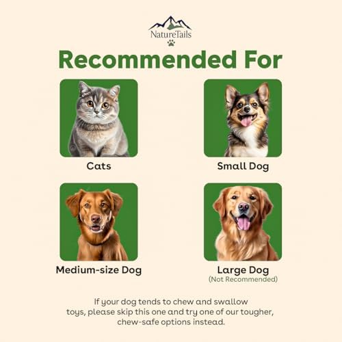 Interactive Cat Toy Ball, Automatic Intercative Cat Toys for Indoor Cats, The 3rd Generation Agile Moving Cat Ball with Elastic Mesh Tail, Toys for Indoor Adult Cats, Motion Activated (Green)