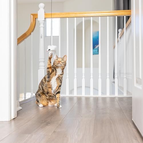 SPOT A-Door-Able Bouncing Mouse Cat Toy - Hanging Rattle & Catnip Interactive Toy, Entertain Cats for Hours, Indulge Natural Hunting Instincts, Provide Mental Stimulation, Suspend From Any Door Frame