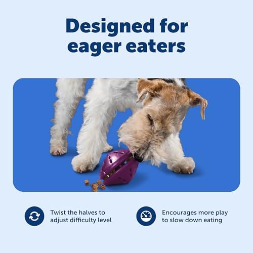 PetSafe Busy Buddy Twist 'n Treat Dispensing Dog Toy, Medium | Twist Halves Apart for Quick Treats or Closer for a Challenge, Patented Treat Meter, Top-Rack Dishwasher Safe