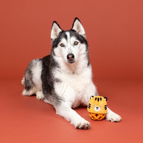 Fringe Studio Rubber Dog Toy, GO GET EM Tiger, Pet Shop Collection (519054)
