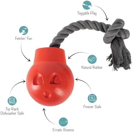 Fringe Studio You DA Bomb Rubber Dog Toy, Pet Shop Collection (518044)