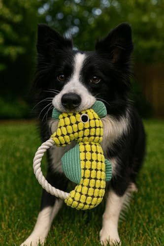 Squeaky Dog Toys for Small Medium Dogs – Adorable Seahorse Plush Rope Chew Toy with Squeaker, Durable Puppy Teething Toy for Interactive Play & Boredom Relief, 9.25 Inches