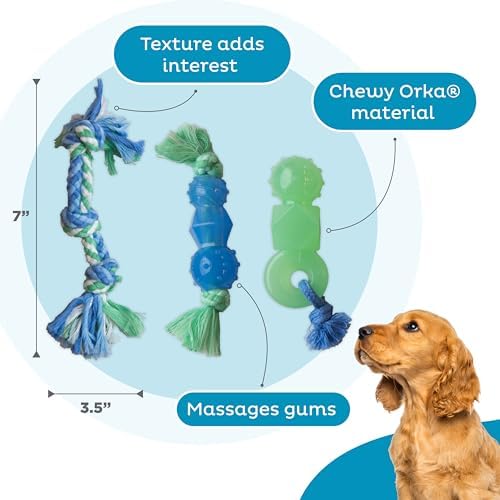 Mini Dentachew Dental Dog Chew Toys, 5-8", 3-Pack