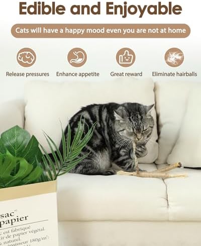 Tocirelo Silvervine Sticks for Cats, Natural Cat Chew Toy Teeth Cleaning