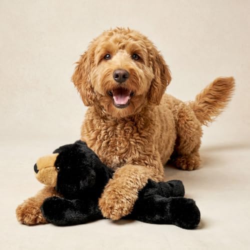 Playology Plush Bear Dog Toy - Squeaky Dog Toy - Jumbo, Blueberry Scent