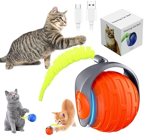 Cat Family Specials Kit: Two cat Toys & Two Bags