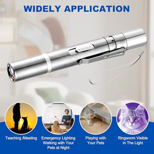 Damflew 2pcs Laser Pointer, Cat Toys for Indoor Cats, Kitten Dog Laser Pen Toy, Red Dot LED Light Pointer Interactive Toys for Indoor Cats Dogs, USB Charging, 5 Switchable Patterns