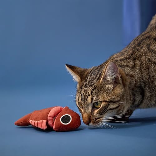 Premium Plush Cat Toy - Fish Puzzle Cat Toy, Eco Friendly, Catnip