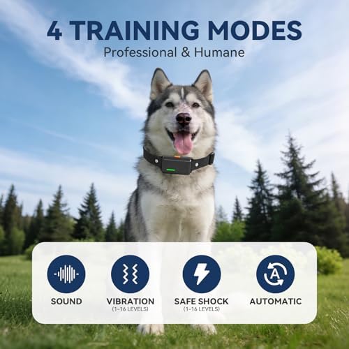 CanineJoy Dog Shock Collar and Automatic Bark Collar - 2-in-1 4200FT Dog Training Collar with Remote Control, Waterproof Electric Collar with 4 Training Modes, Security Lock, Rechargeable E-Collar