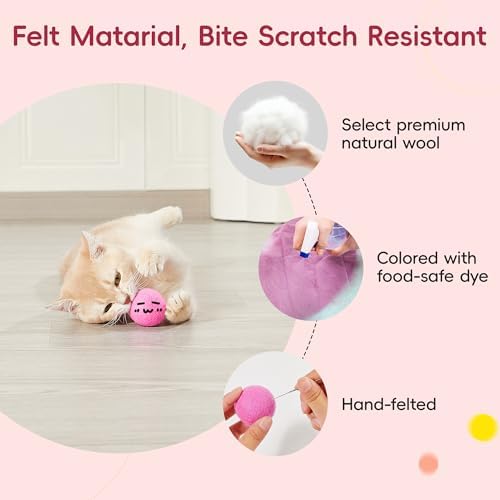 Potaroma 12 Pcs Quiet Play Felt Cat Ball Toys with Catnip Inside