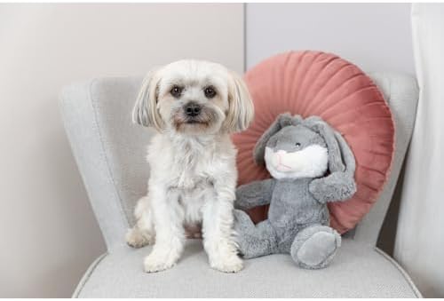 TRIXIE Be Eco Evan The Bunny Plush Dog Toy for All Dogs, 10" Fun and Cuddly No Sound Dog Toy, 98% Recycle Material