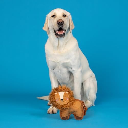Fringe Studio Durable Plush Dog Toy with Rope, Tough Squeaky Dog Toy, “Lion Through My Teeth,” Petshop Collection (729215)