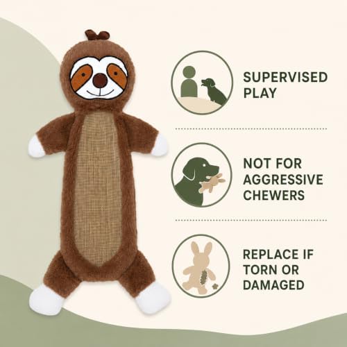 Sloth Squeaky Plush Dog Toy with Crinkle for Puppies, Small/Medium Dogs