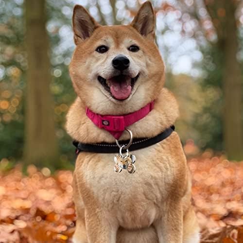 QR Code Dog Tag -On Pet ID Name Tag for Dogs, Cats & Horses – Custom Personalized Noiseless Tag with Jingle-Free Fit & Online Profile Display