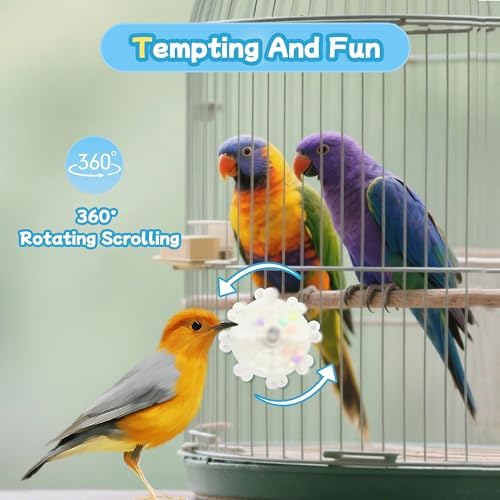 2 Colors Bird Toys for Parrots, Small Bird Cage Toys with Spinning Rattle