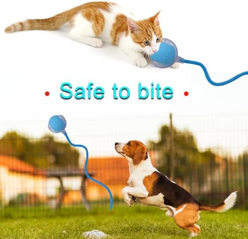 Interactive Cat Dog Toy Ball with LED Light, Automatic Rolling(Blue)