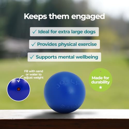 Jolly Pets Push-n-Play Ball Dog Toy, 14 Inches/Extra-Large, Blue (314 BL), for All Breed Sizes