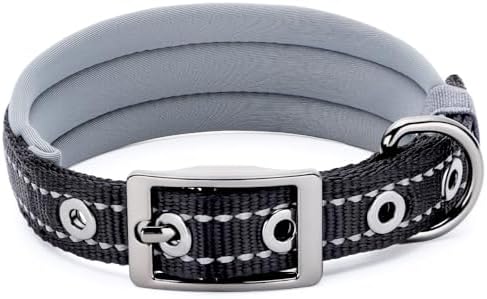 Segarty Reflective Small Dog Collar for Male Dogs Neck 10.8-14in, Adjustable Wide Soft Comfortable Breathable Neoprene Padded Nylon Collar Heavy Duty Metal Buckle for Puppy Small Breeds (S, Black)