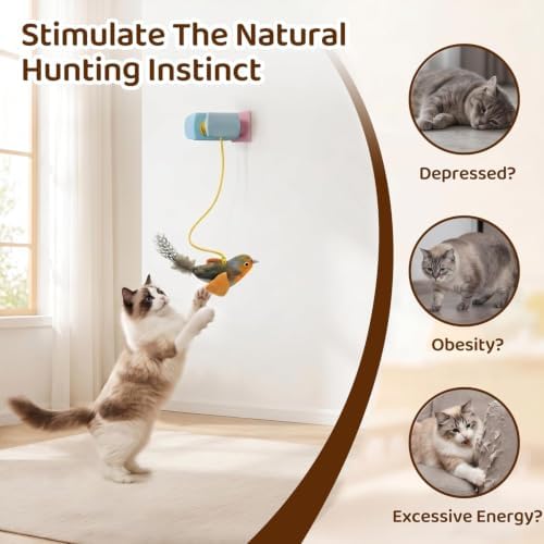 Interactive Cat Toys for Indoor Cats, Automatic Hanging Door Toys Blue