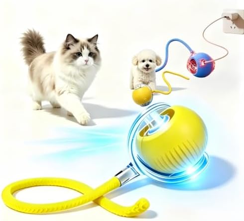 Nicoybore pet toy ball, USB charging, automatic standby, made of durable materials, providing interactive entertainment for cats and dogs. Luminous sphere attracts pets to chase after (1, yellow)