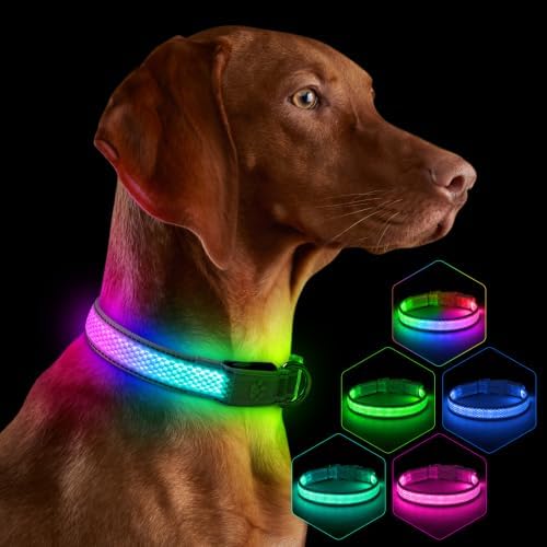 Flashseen Light up Collars for Dogs at Night, 9-Mode Glow, USB Rechargeable | Color Changing LED Lighted Dog Collar, Super Bright Adjustable Glow Collar for Night Walking (Soft Pink, Small)