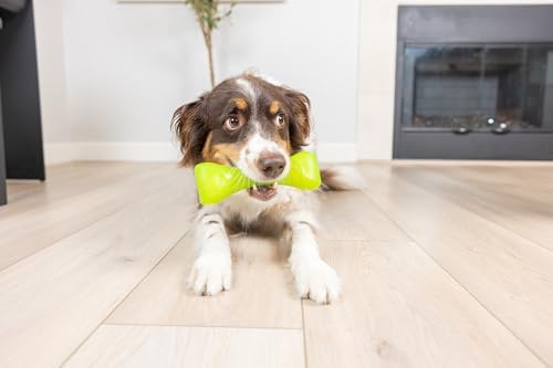 Chuckit! Crunch Bones Dog Fetch Sensory Toy, Medium, Green – Beef‑Scented Sensory Bone with Crunch Sound & Grooves for Spreadable Treats – Durable Fetch Toy for Dogs 20–50 lb – Pack of 1
