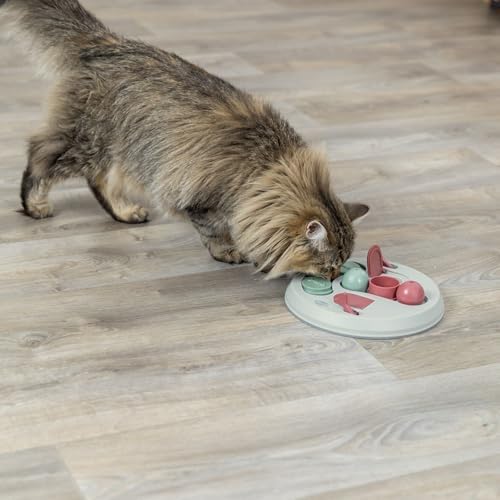 TRIXIE Cat Activity Hide 'N Slide Strategy Game – Cat Puzzle Toy with Treat Dispenser for Mental Stimulation – Interactive Puzzle Feeder for Enrichment Exercises – 9.1 in, ø 23 cm