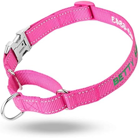 Personalized Martingale Dog Collar-Reflective Martingale Collars with Buckle, Custom Training Martingale Dog Collars Embroidered with Name and Phone Number for Small Medium Large Dogs